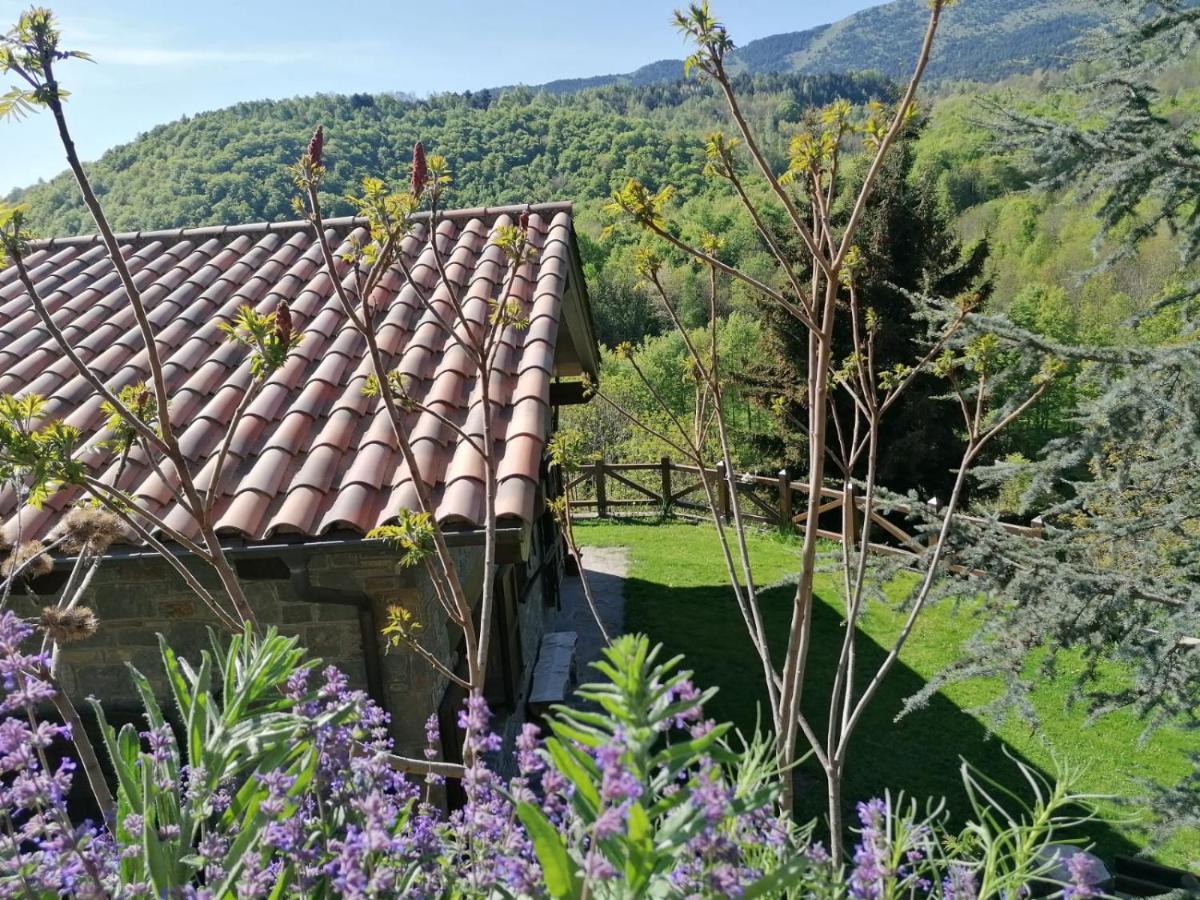 Villa Les Pedres Camprodon Exterior foto
